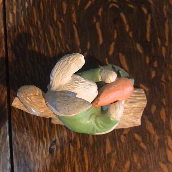 Sweet Bunny Rabbit - Picture 6 of 6